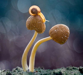 ddos压力测试平台